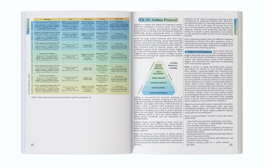 The Holistic Guide To Wellness: Herbal Protocols For Common Ailments